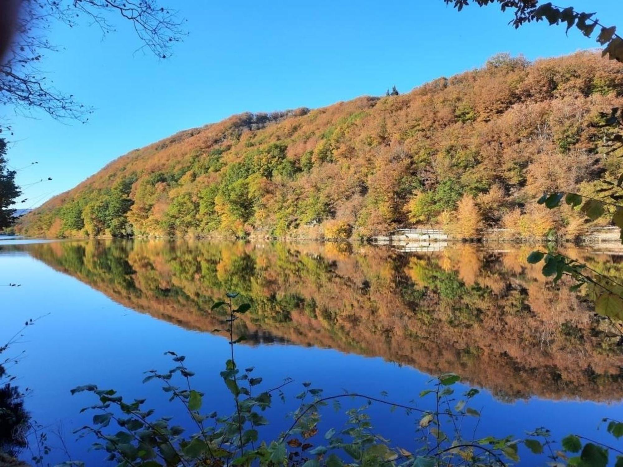 Ferienhaus &#039Freund Am See&#039 3 Heimbach Exteriör bild