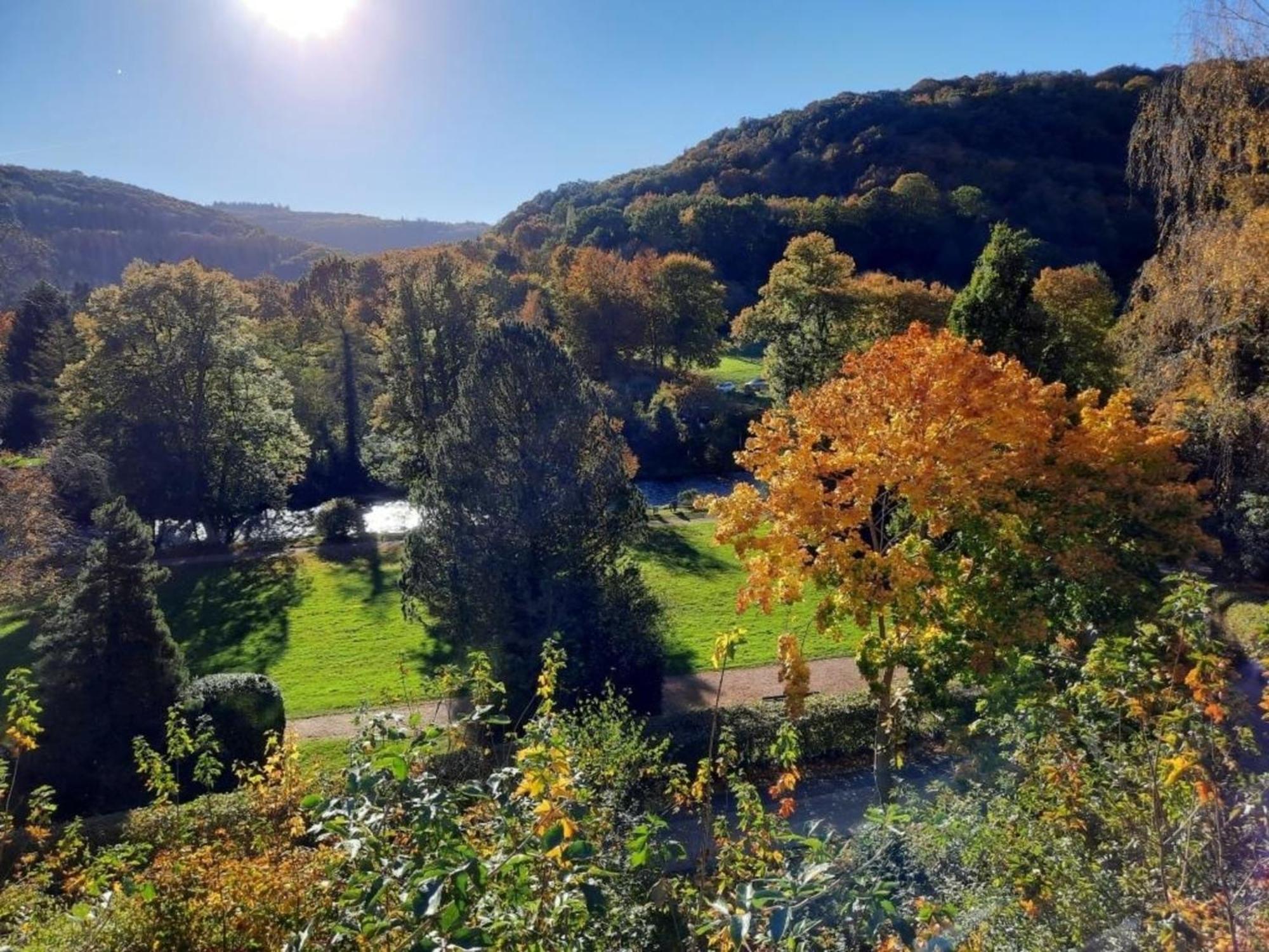 Ferienhaus &#039Freund Am See&#039 3 Heimbach Exteriör bild